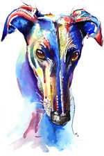 Greyhound Art Print Painting