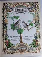 Nests & Eggs of Birds of the United States by Thomas Gentry 1882 Illustrated HC