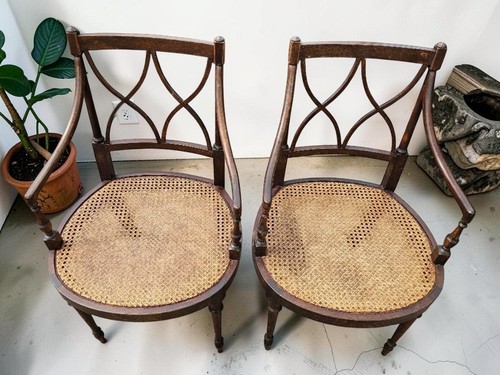 Pair regency style - pair, mahogany