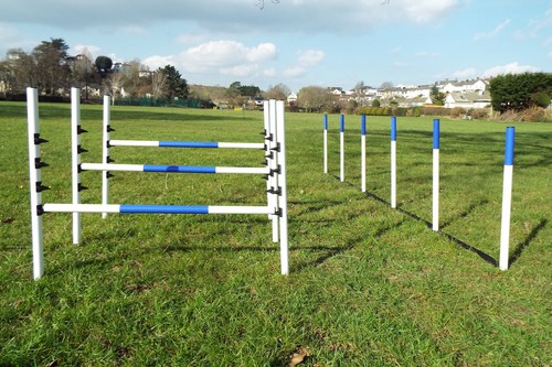 Dog agility equipment - dog, 3