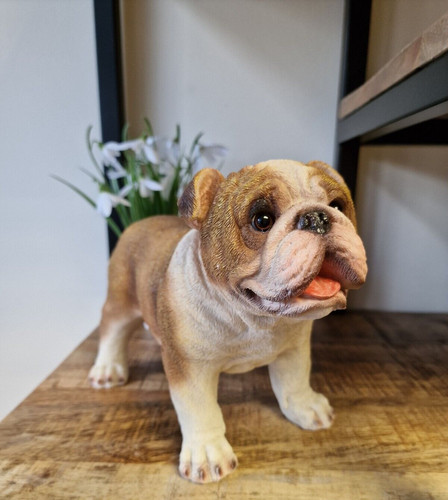 British bulldog ornament dog - bulldog, ornament,
