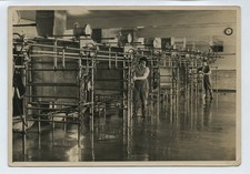 Dairy Farm Milking Parlour Perthshire Scotland c1950s Photo #2