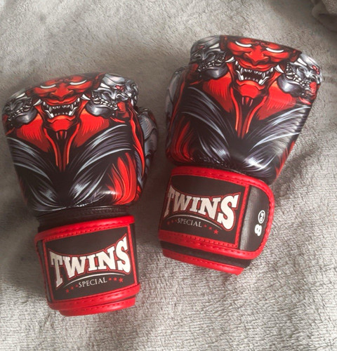 Twins special training - training, boxing