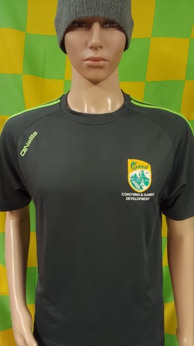 Kerry gaa coach development - kerry,