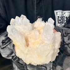 2.45LB Natural transparent white quartz crystal pineapple cluster rough sample-