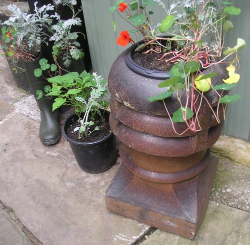 Cute victorian reclaimed - cute,