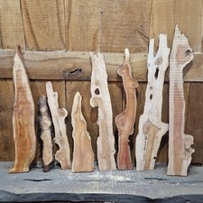  Yew Slab Offcuts (347)