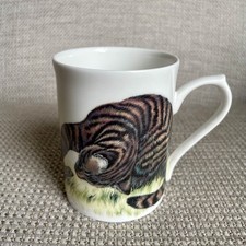 Roy Kirkham Cat Kitten Lover