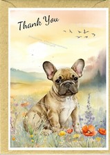 French Bulldog /Frenchie Dog