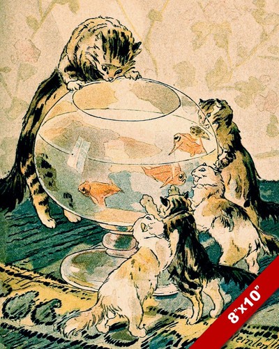 Harassing goldfish bowl cat - harassing,