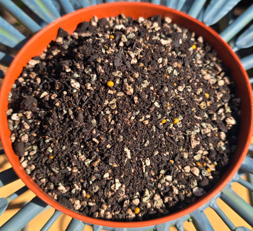 Biologically active houseplant - biologically,
