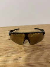 Oakley Radar Ev Path Prizm