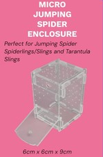 Jumping Spider Sling Enclosure