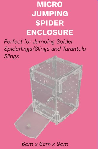 Jumping spider sling enclosure - spider,