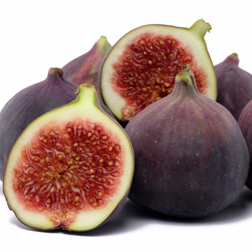 Fig tree brown turkey - fig, ''brown