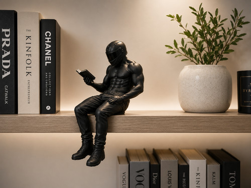 Sexy biker book - reader, shelf