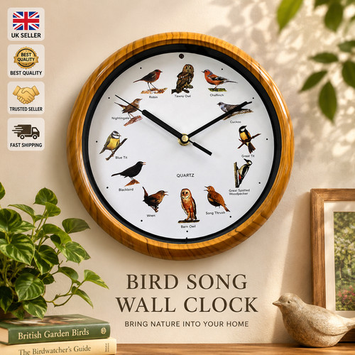 Outdoor bird song wall clock - song,