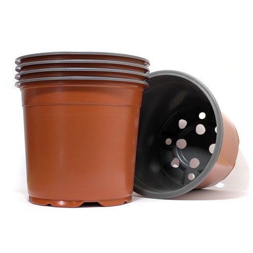 Plastic nursery seedling - plastic, nursery/seedling