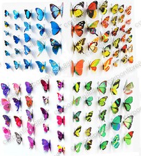 Butterfly wall art - wall,