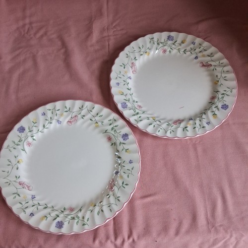 Johnson brothers summer - brothers, chintz