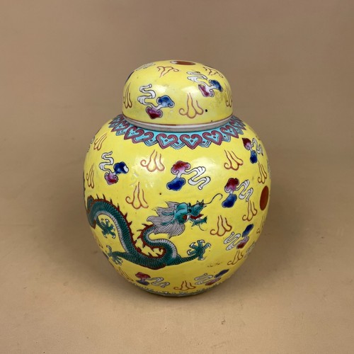 Yellow oriental pot dragon - yellow,
