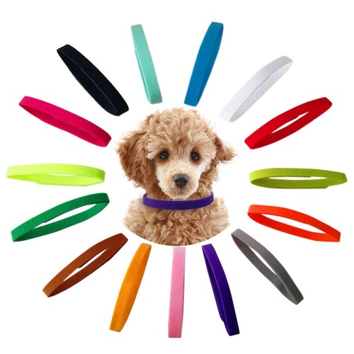 Ttsam pack puppy collars - ttsam, 15