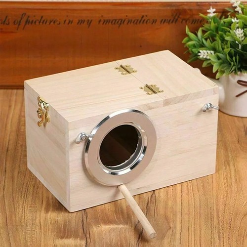 Wooden bird nest - box, breeding