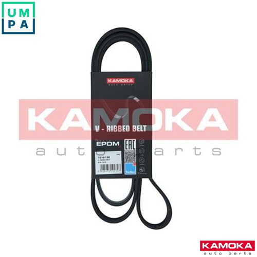 Vribbed belt 7016138 - belt, for