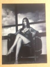 KATHY LLOYD "Ex-Scrapbook