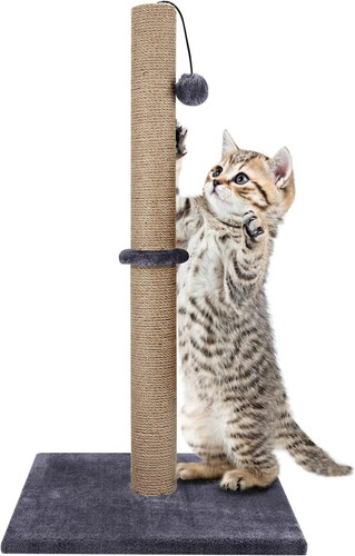 Tall large cat - cat, post