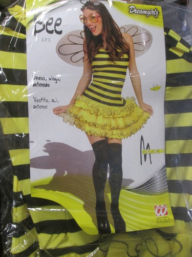 Adult fancy dress - adult,
