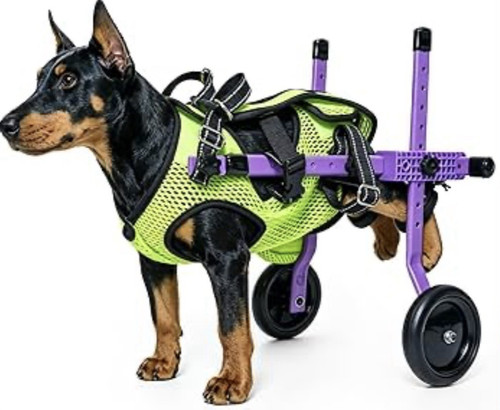 Dog wheelchair rear leg - dog,