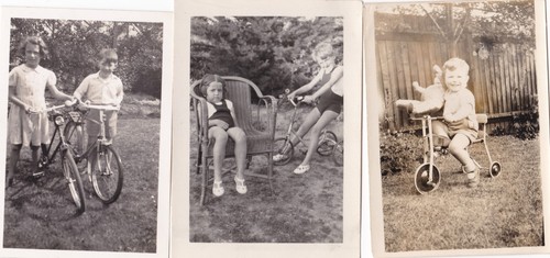 Three vintage photographs - three,