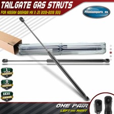 2x Tailgate Boot Gas Struts