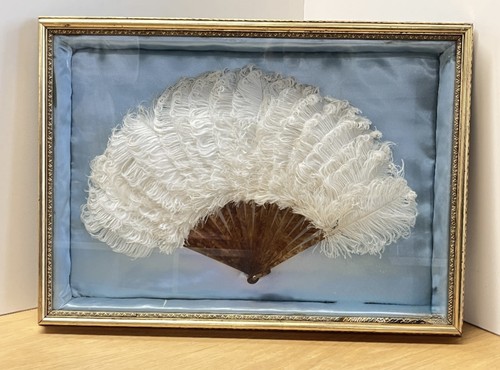 Antique white ostrich - antique,