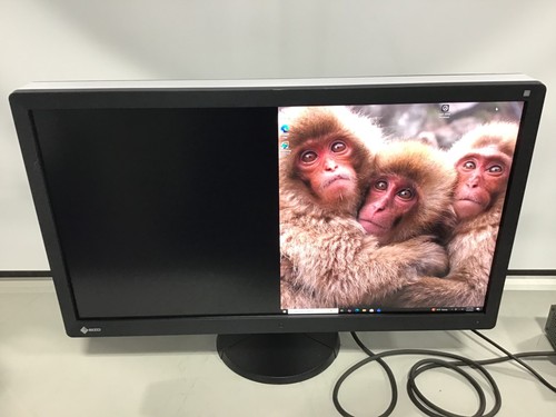 Eizo radiforce rx850 res - eizo,