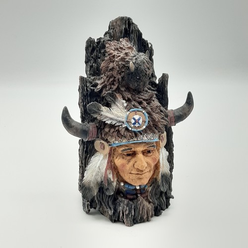 Native american indian - american,