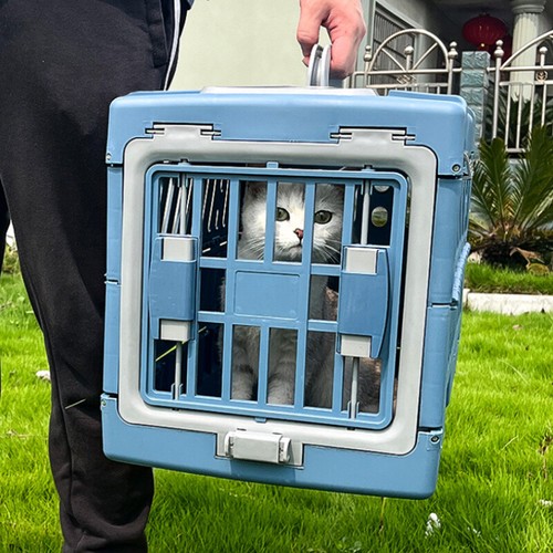 Pet portable cat dog - pet,