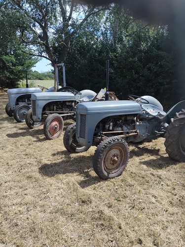 Ferguson grey fergie - ferguson,
