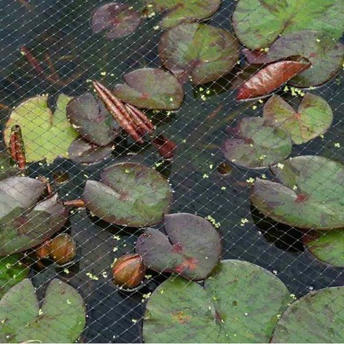 Smart garden outdoor - smart, water