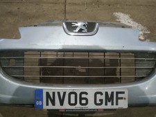  Bumper Grille - FRONT CENTER