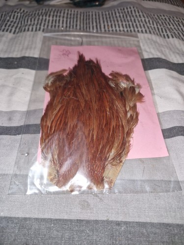 Cock cape fly tying - cock, cape,fly