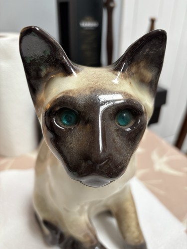 Winstanley siamese cat size - siamese,