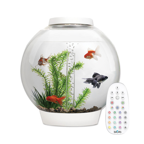 Biorb classic 30l - biorb,