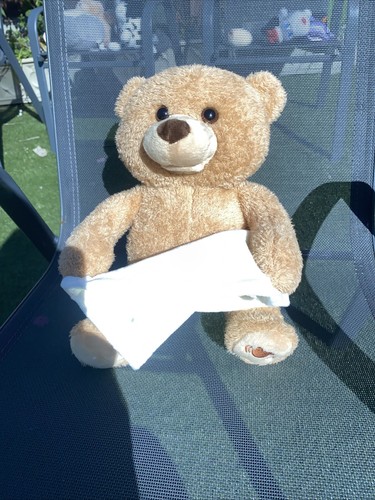 Gund peek boo teddy - a,