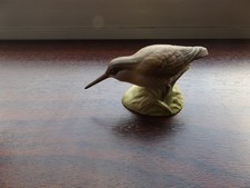 Aynsley Fine Porcelain Bird - Snipe