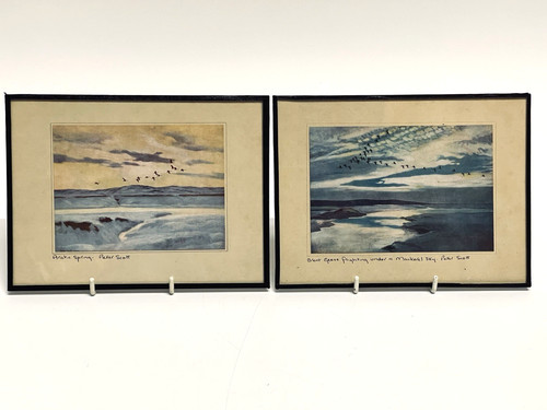 Peter scott prints - prints, arctic