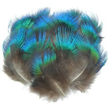Rare Natural Blue Fan Feathers