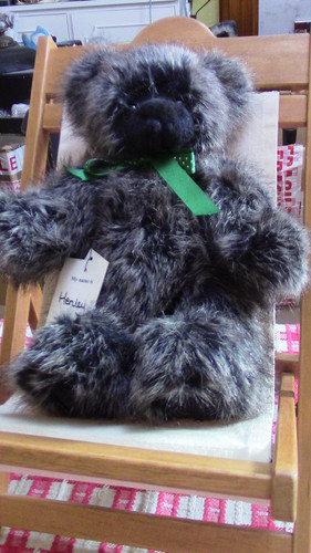 Kaycee bears henley - kaycee,