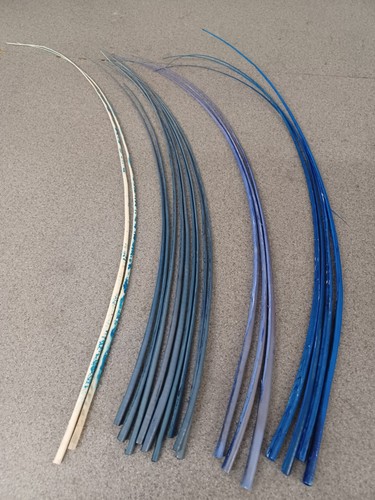 Stripped ostrich quill - spine, x
